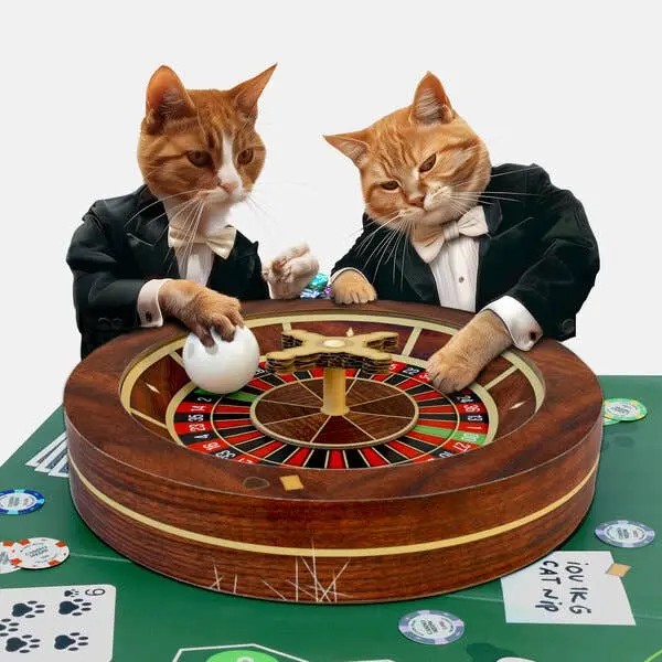 100% bis zu 500 € + 200 Free Spins